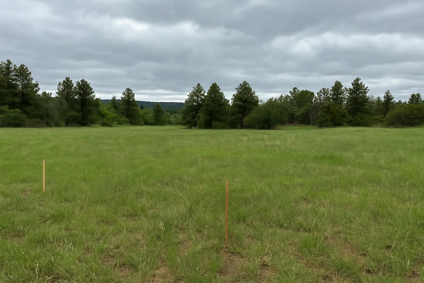Vacant land parcel for sale in Archuleta County, Colorado