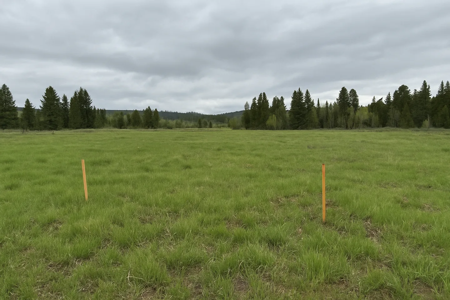 Vacant land parcel for sale in Park County, Colorado